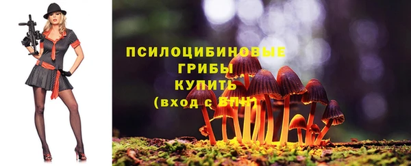 крисы Алзамай