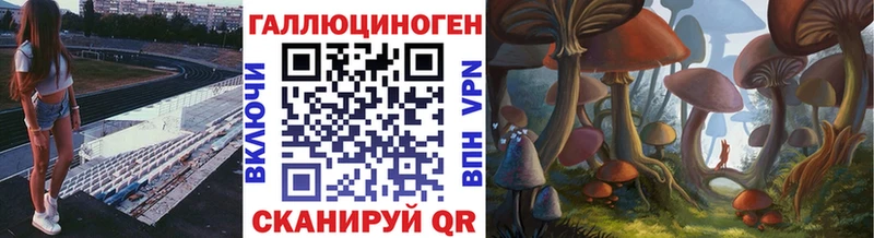 Галлюциногенные грибы GOLDEN TEACHER  как найти   Жуковский 